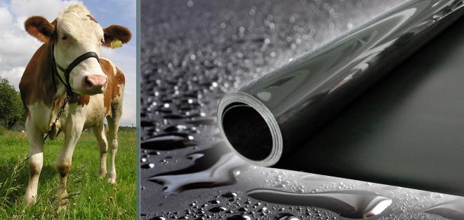 csm_Geomembrane_Cow_black_d5bc8f8299